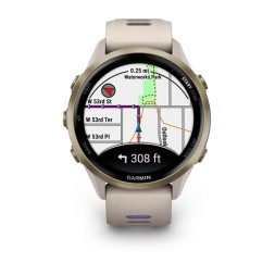 Garmin ForeRunner 970, 47mm (Soft Gold Titanium/French Grey)