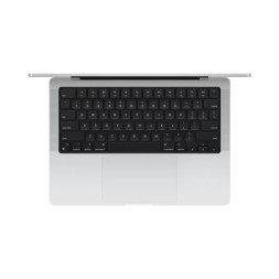 Apple MacBook Pro 14" M4 Max 16c CPU, 40c GPU, 128/1TB серебристый (2024)